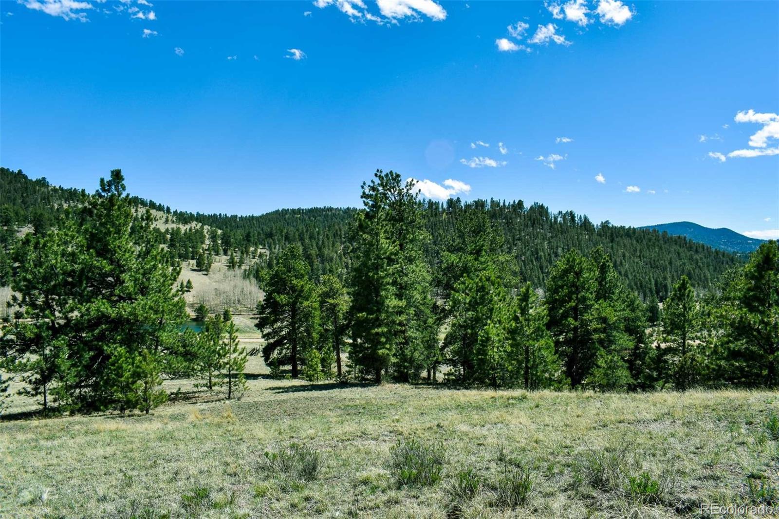 60 B Road Guffey, CO 80820 - Photo 8 of 28