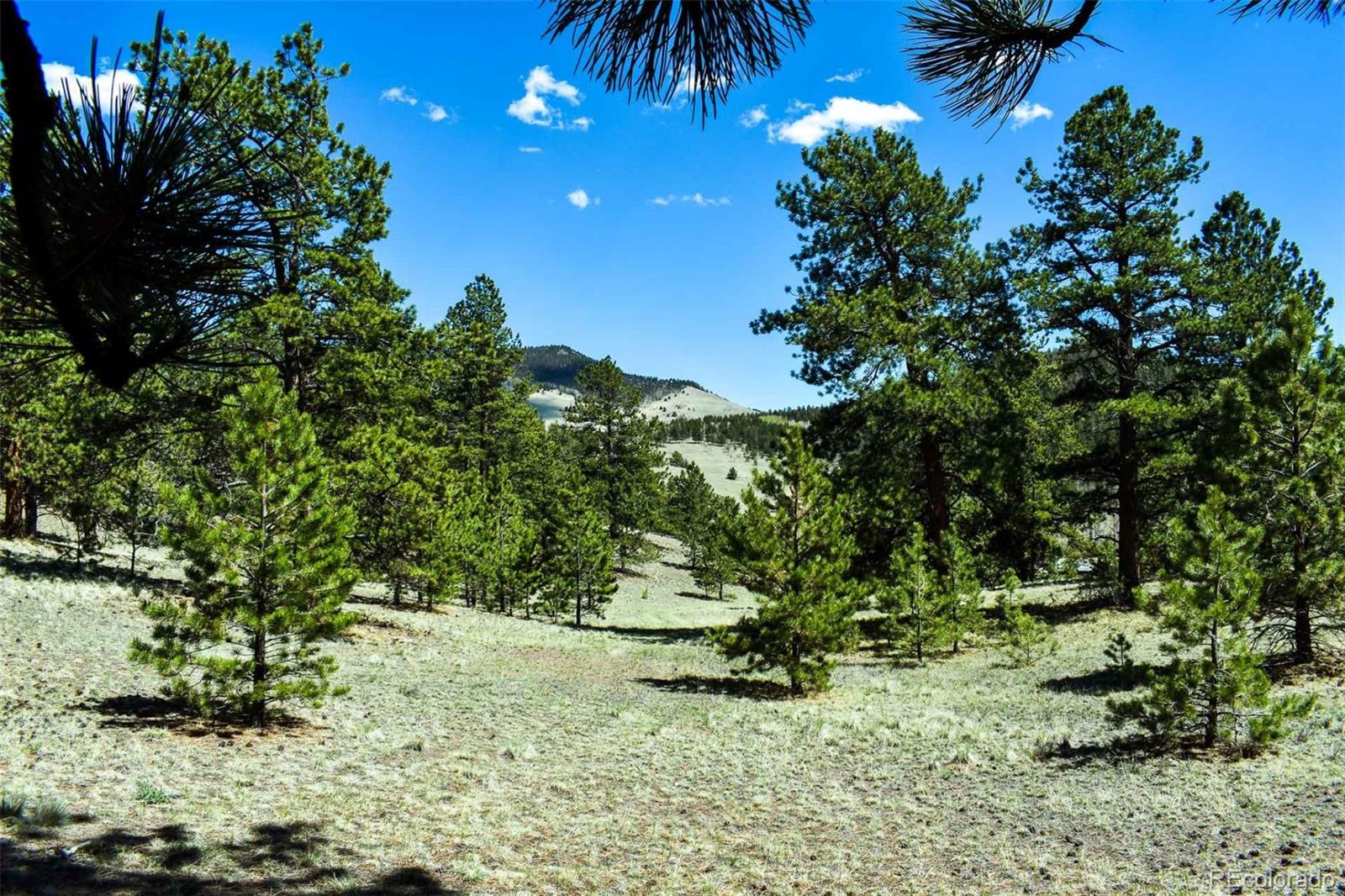 60 B Road Guffey, CO 80820 - Photo 10 of 28 a view of a yard