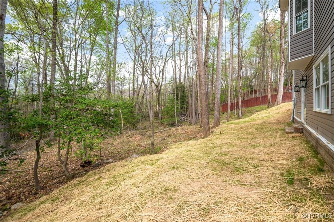 2919 Hog Back Road Hopewell, VA 23860 - Photo 43 of 45 View of yard