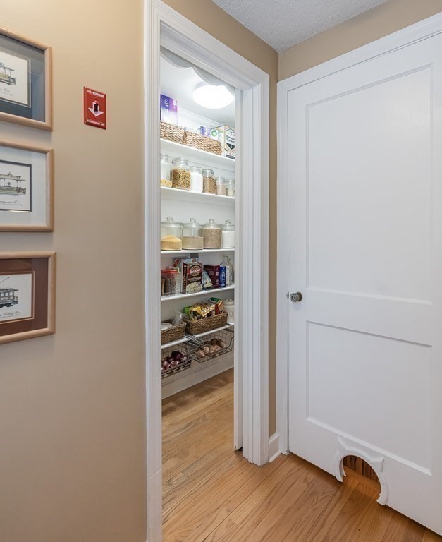 97 Bridle Path Road Springfield, MA 01118 - Photo 17 of 42 a view of a closet in a room