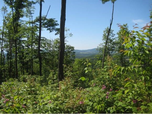 Lot 3 Farrar Road Newport Center, VT 05857 - Photo 2 of 10 Gallery Image 2