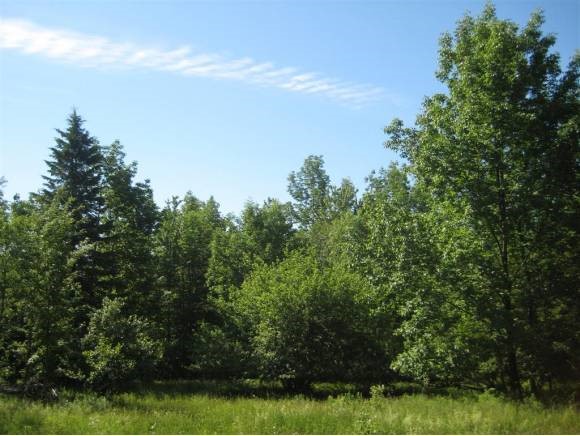Lot 3 Farrar Road Newport Center, VT 05857 - Photo 3 of 10 Gallery Image 3