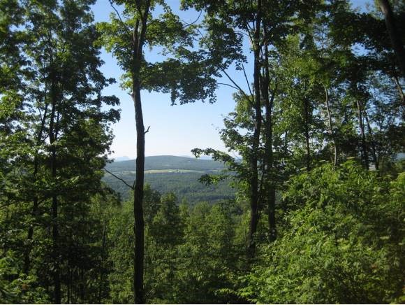 Lot 3 Farrar Road Newport Center, VT 05857 - Photo 4 of 10 Gallery Image 4