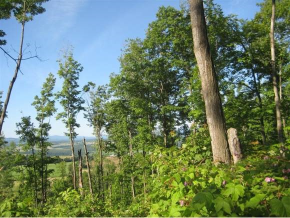 Lot 3 Farrar Road Newport Center, VT 05857 - Photo 7 of 10 Gallery Image 7