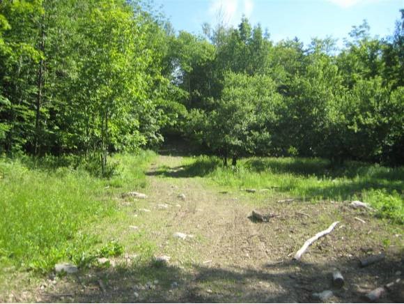 Lot 3 Farrar Road Newport Center, VT 05857 - Photo 9 of 10 Gallery Image 9