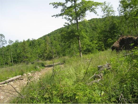 Lot 3 Farrar Road Newport Center, VT 05857 - Photo 10 of 10 Gallery Image 10
