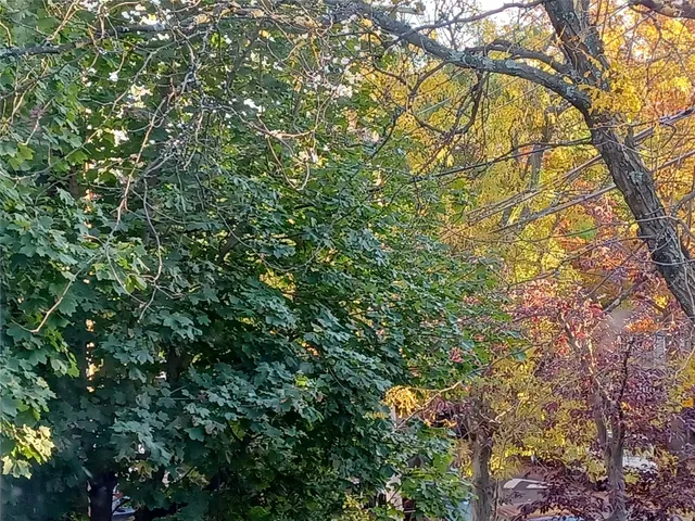 $799,999 | 1774 Pitman Avenue | Wakefield