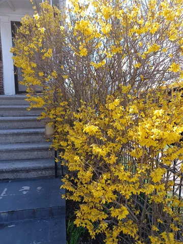 $799,999 | 1774 Pitman Avenue | Wakefield