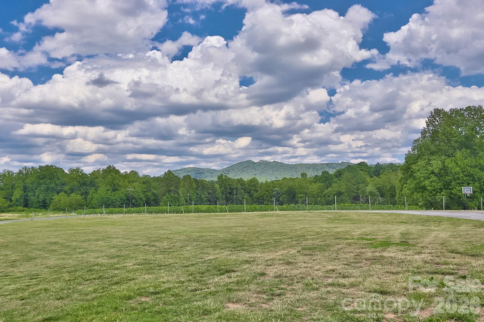 2726 Cedar Forest Road Ronda, NC 28670 - Photo 47 of 48 Gallery Image 47