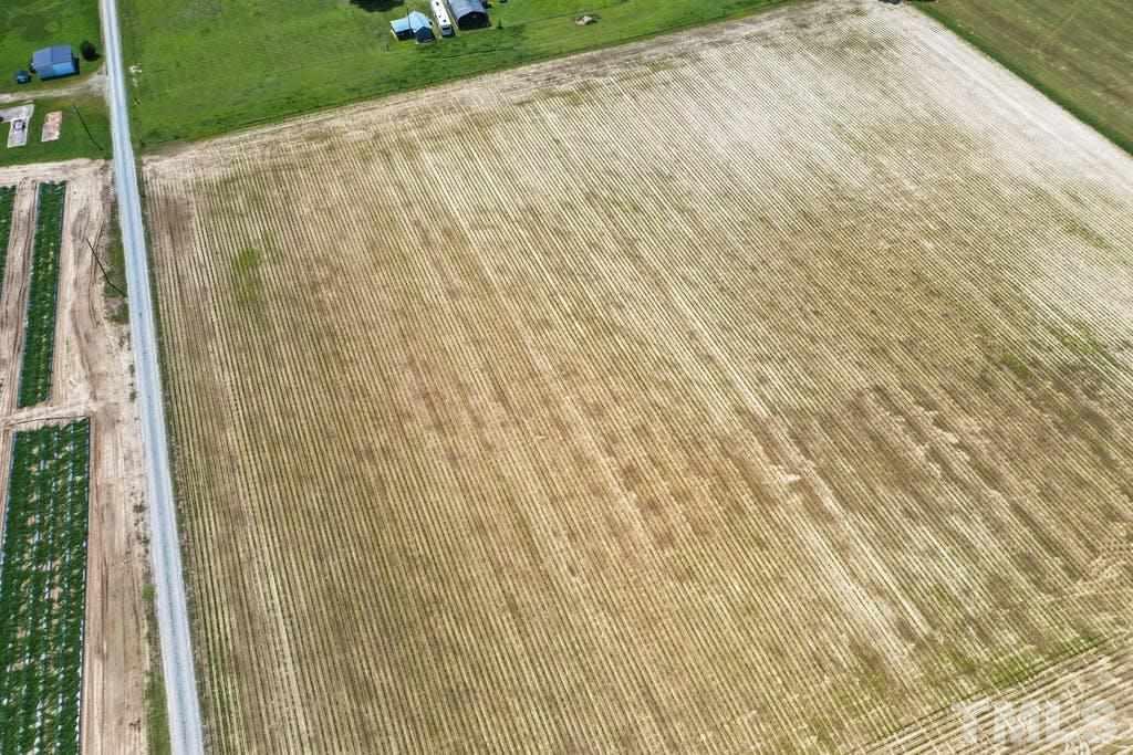 3099 Progressive Church Road Princeton, NC 27569 - Photo 5 of 6 Gallery Image 5