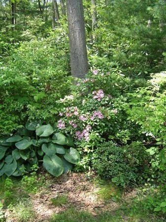17 Forster Road Manchester, MA 01944 - Photo 25 of 28 Gallery Image 25