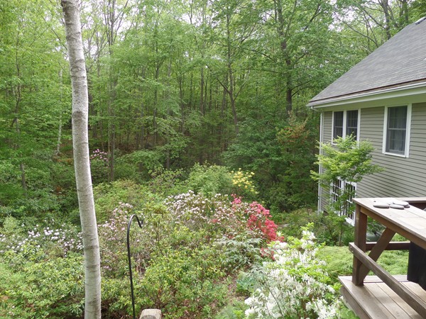 17 Forster Road Manchester, MA 01944 - Photo 26 of 28 Gallery Image 26