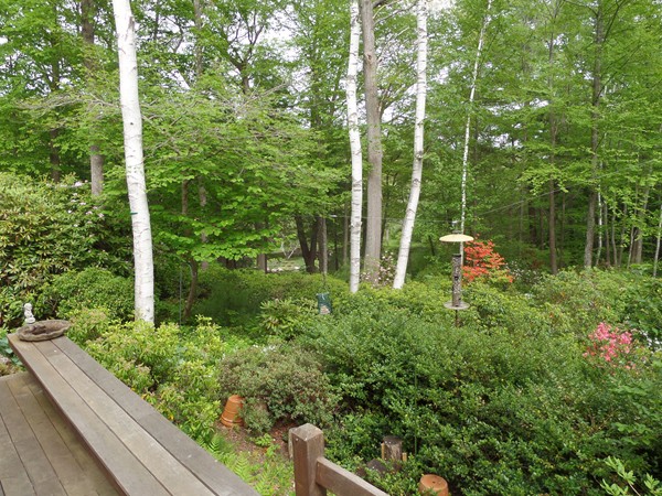 17 Forster Road Manchester, MA 01944 - Photo 27 of 28 Gallery Image 27