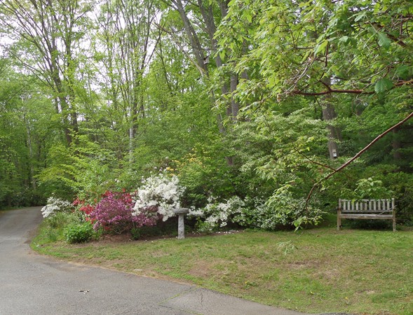 17 Forster Road Manchester, MA 01944 - Photo 28 of 28 Gallery Image 28