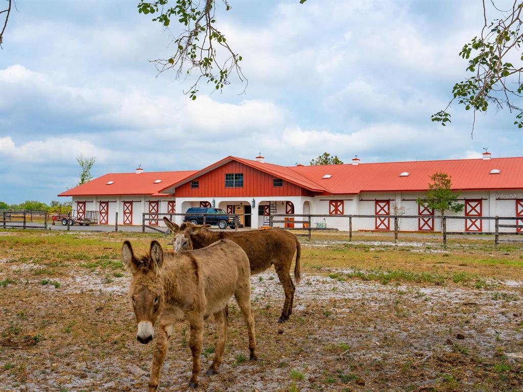 600 North Jackson Road Venice, FL 34292 - Photo 39 of 61 a view of a swimming pool with a table and chairs under an umbrella