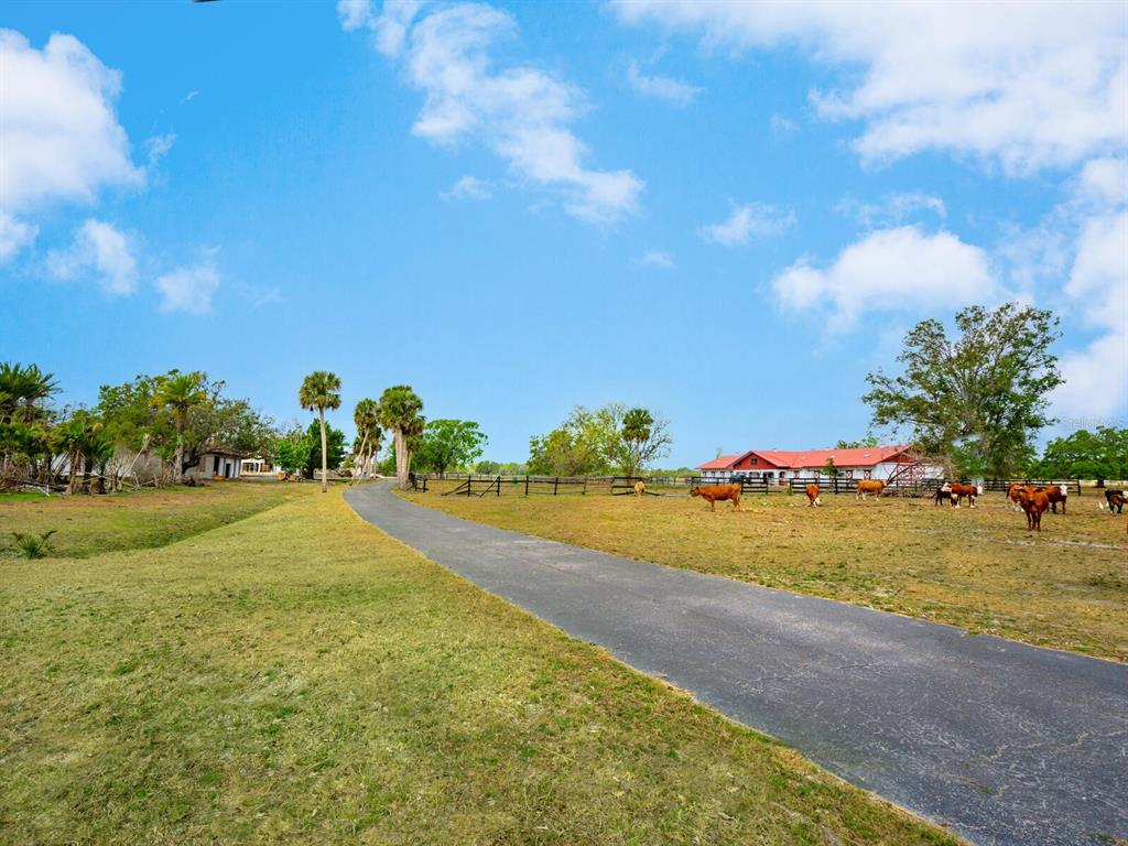 600 North Jackson Road Venice, FL 34292 - Photo 58 of 61 a view of a yard and front view of a house