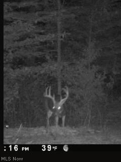 799 State Road Freeport, OH 43973 - Photo 6 of 22 Gallery Image 6