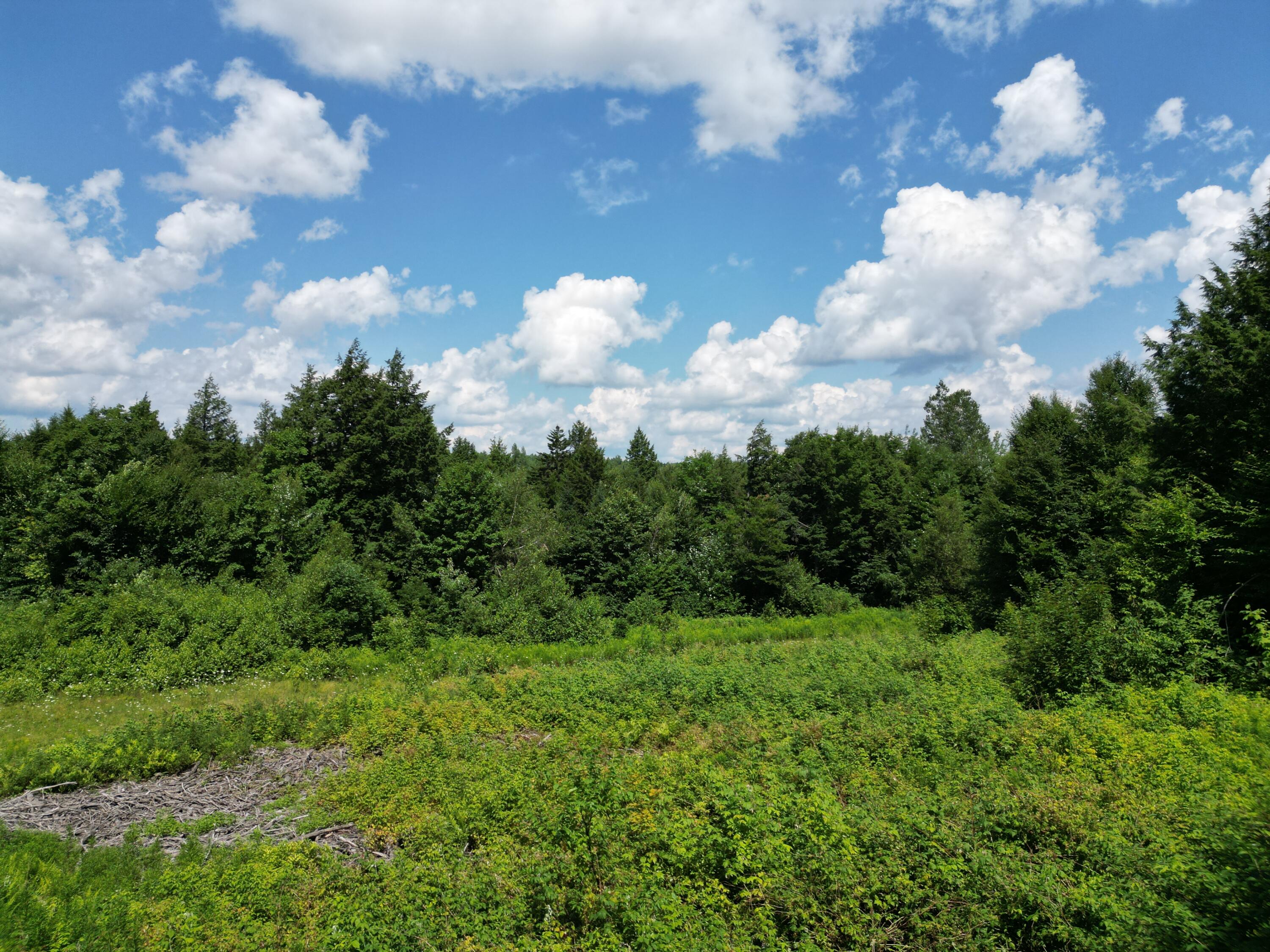 Lot 8 Dirty Glove Road Springfield, ME 04487 - Photo 13 of 21 DJI_0016