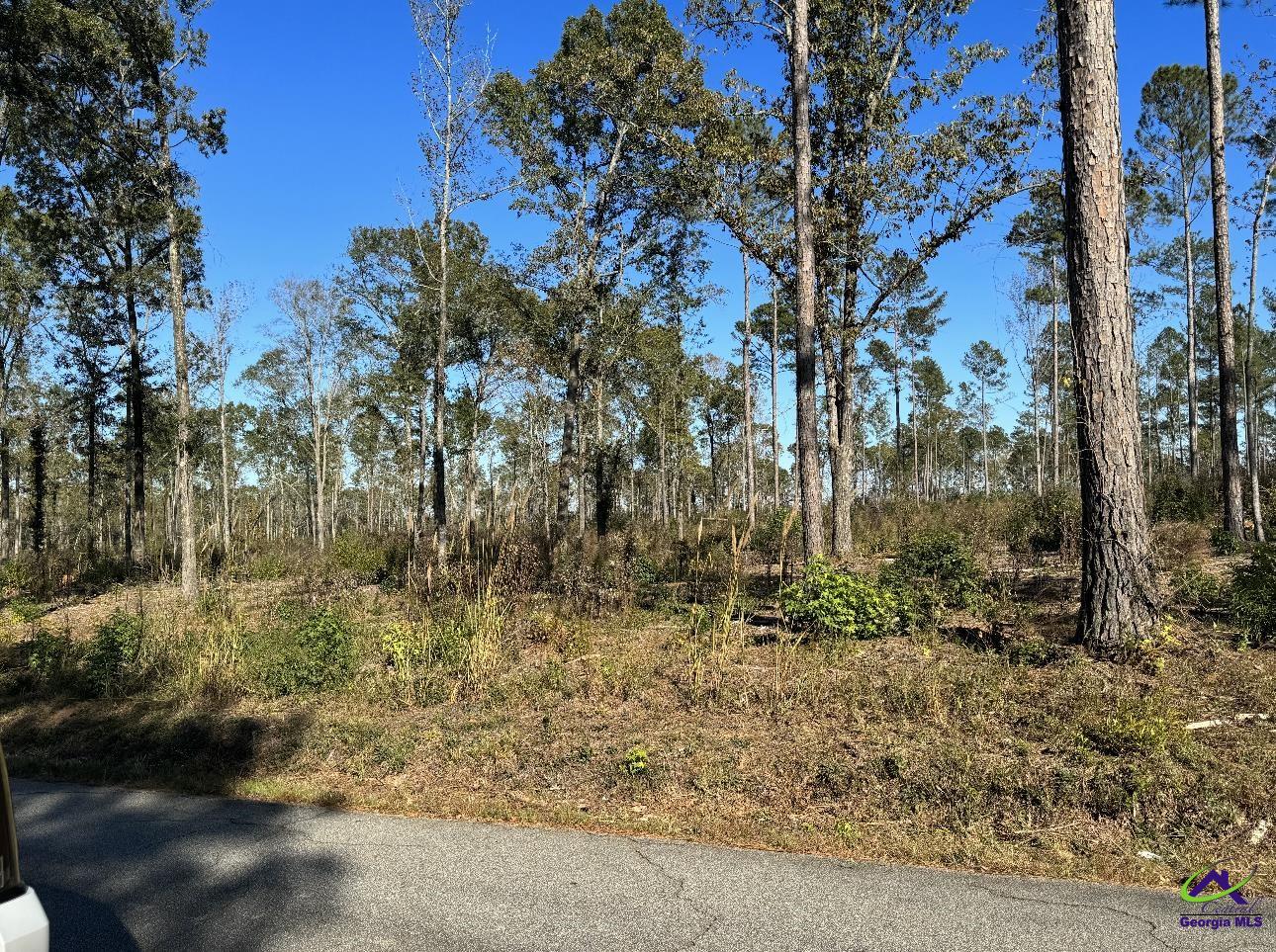 Tract-8 Lower Simmons Road Macon, GA 31220 - Photo 1 of 13