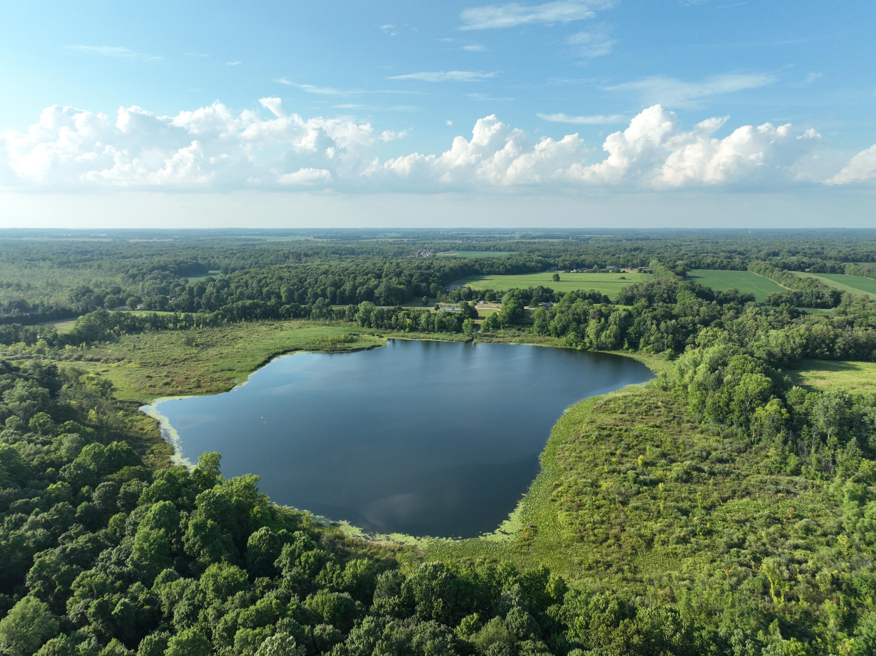 DJI_0918