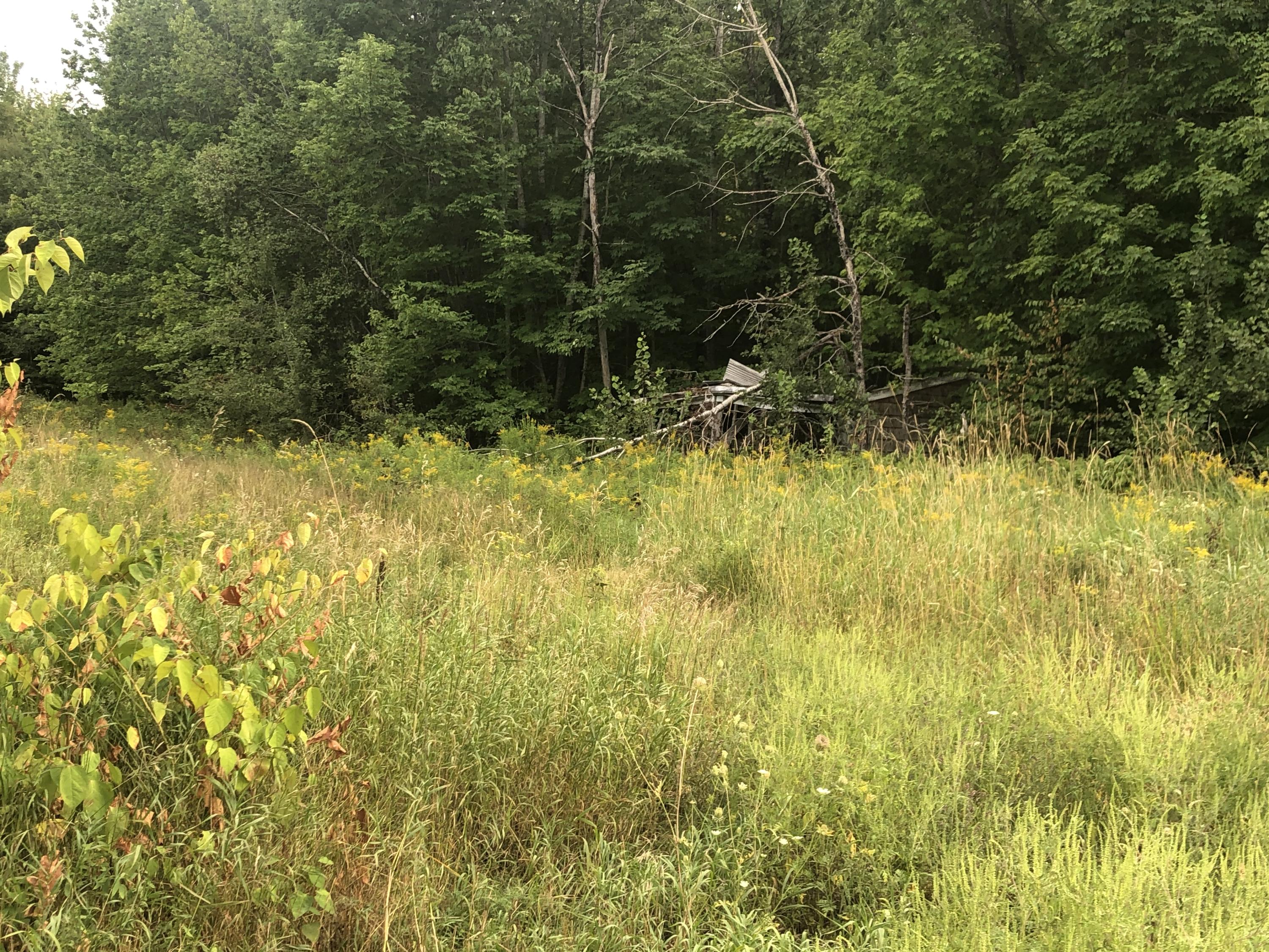 22 Snakeroot Road Pittsfield, ME 04967 - Photo 6 of 19 2020-08-22 17.24.03