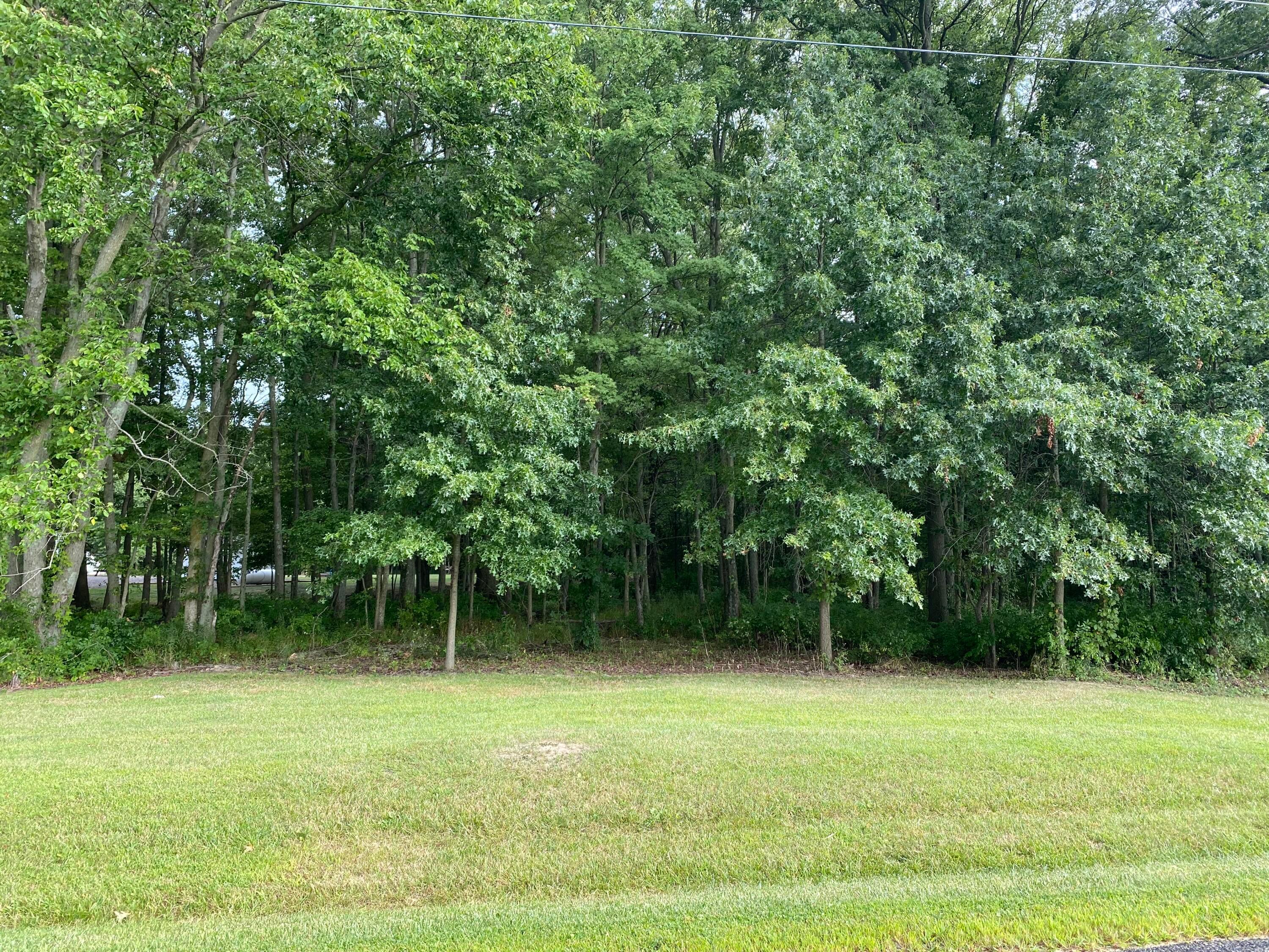 24805 Rapp-Dean Road Raymond, OH 43067 - Photo 33 of 74 Woods