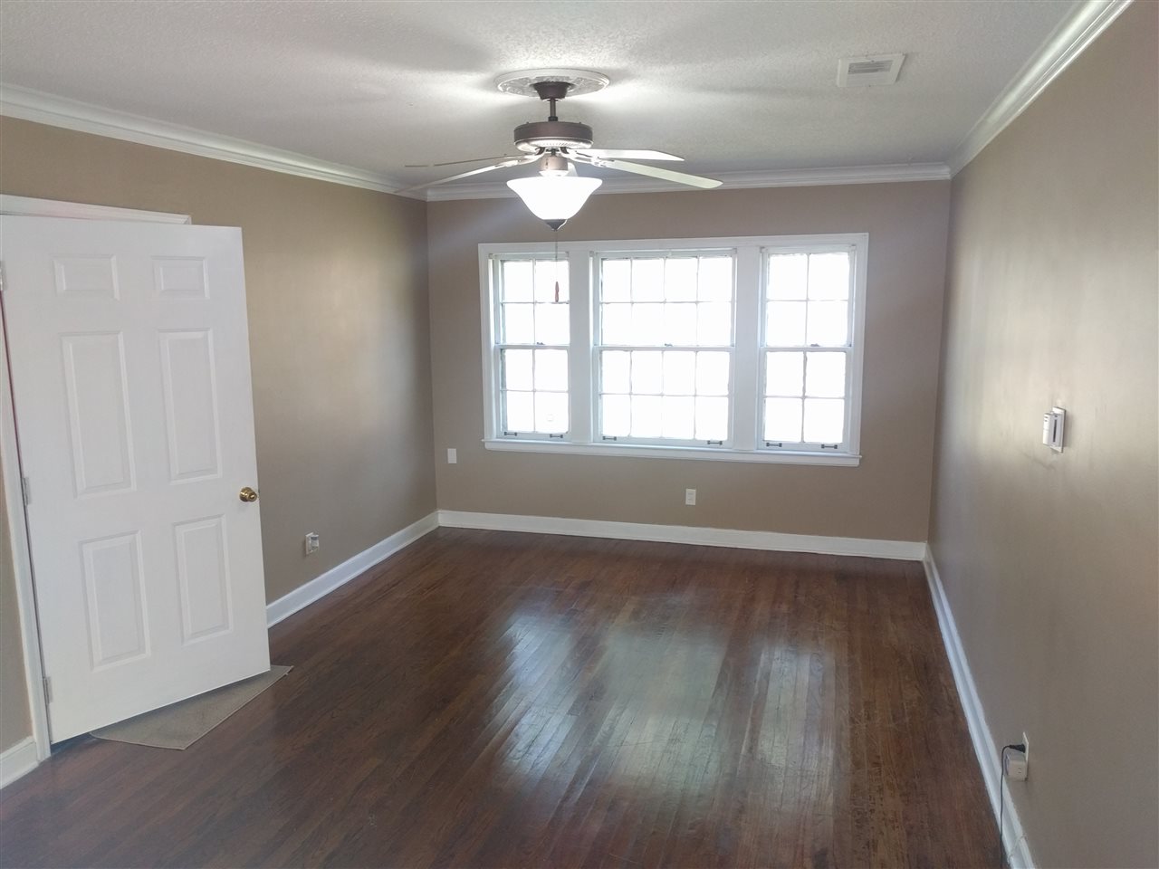 Living Room (Lots of natural light)