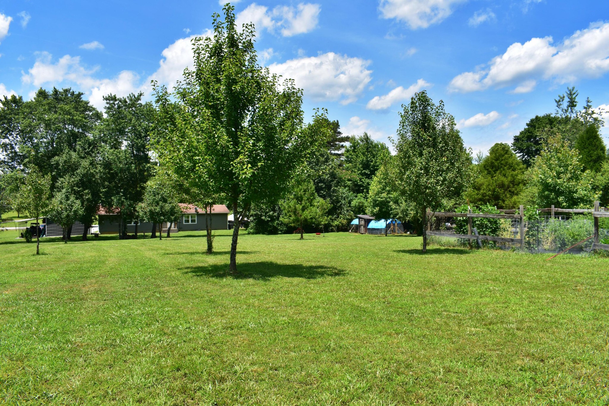 5858 Wolf Creek Road Spring City, TN 37381 - Photo 40 of 76