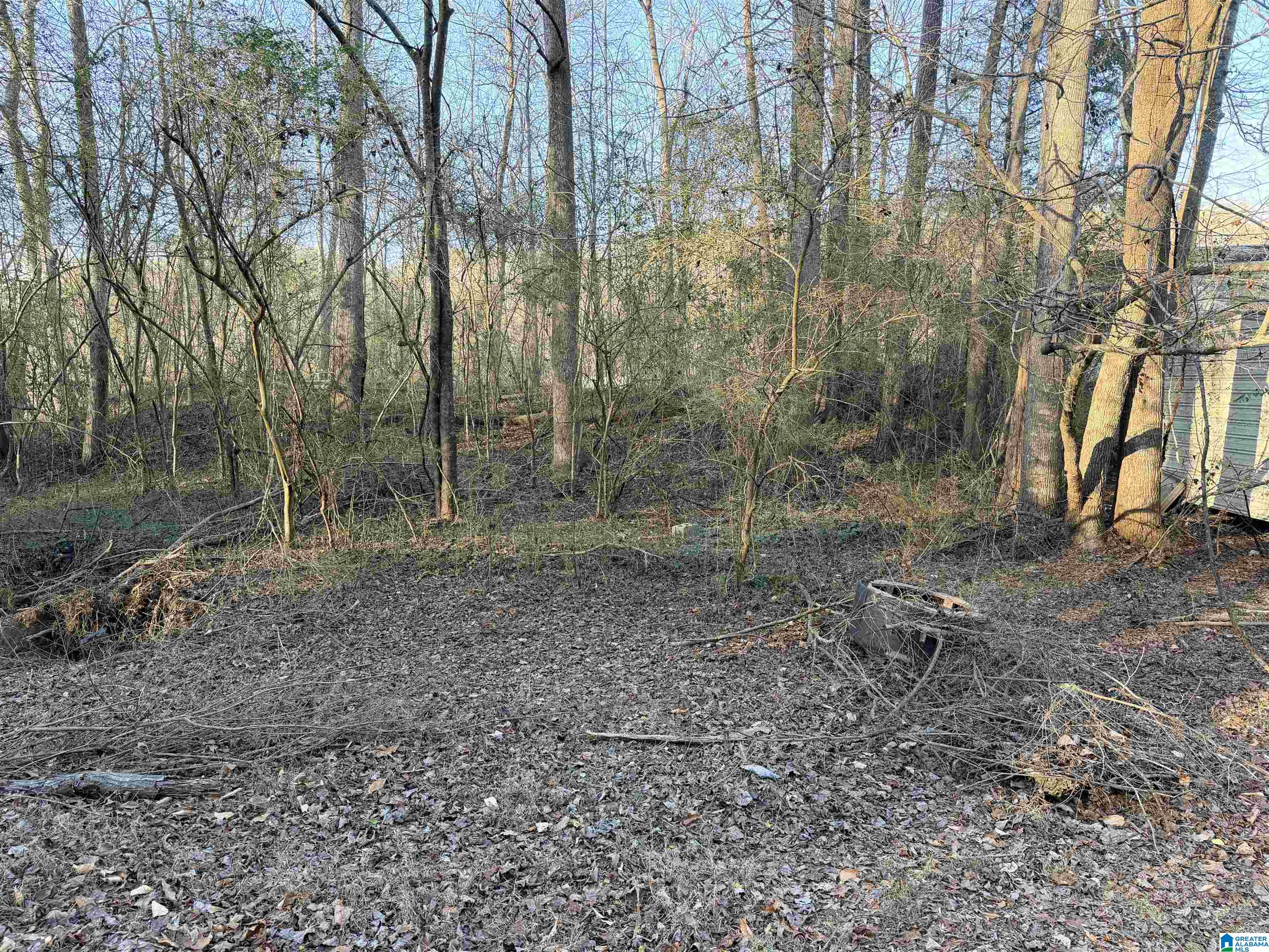 1 Scott Road Cordova, AL 35550 - Photo 2 of 5