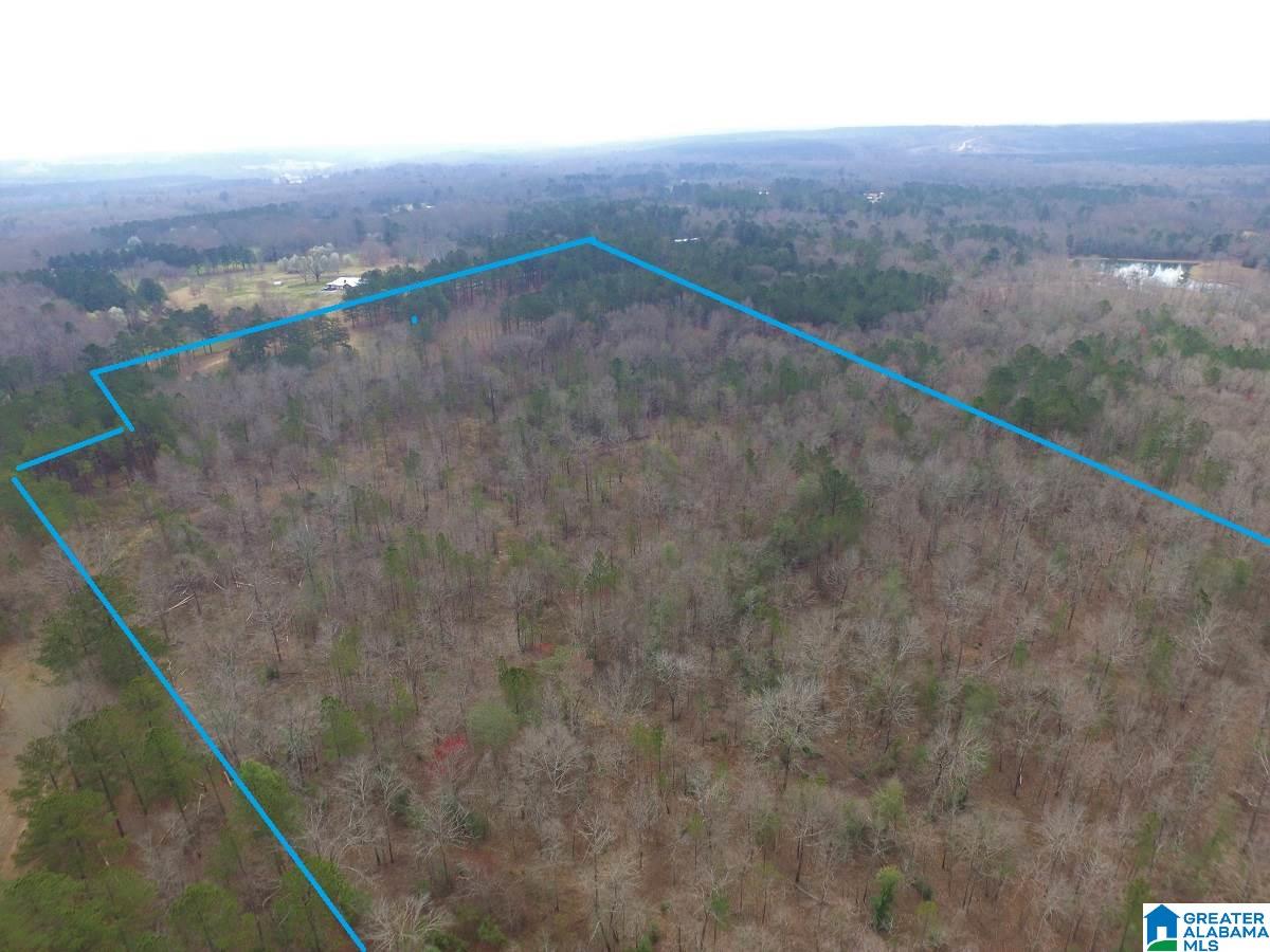0 Melissa Robyn Road, Unit 1 Deatsville, AL 36022 - Photo 25 of 29