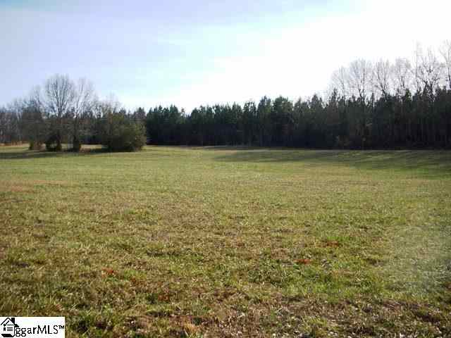 0 Terry Road Fountain Inn, SC 29644 - Photo 2 of 16