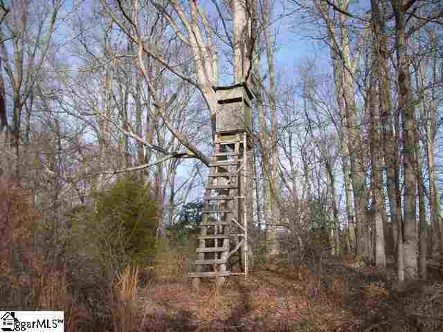 0 Terry Road Fountain Inn, SC 29644 - Photo 11 of 16