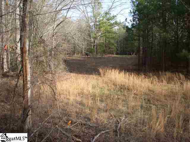0 Terry Road Fountain Inn, SC 29644 - Photo 12 of 16