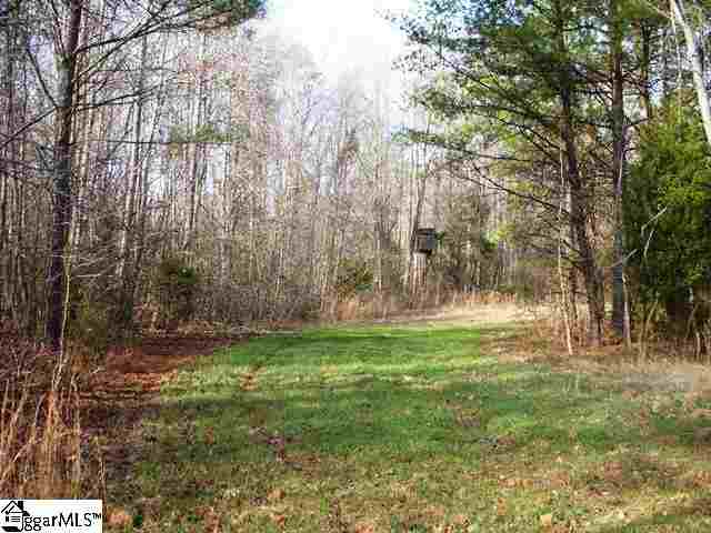 0 Terry Road Fountain Inn, SC 29644 - Photo 13 of 16