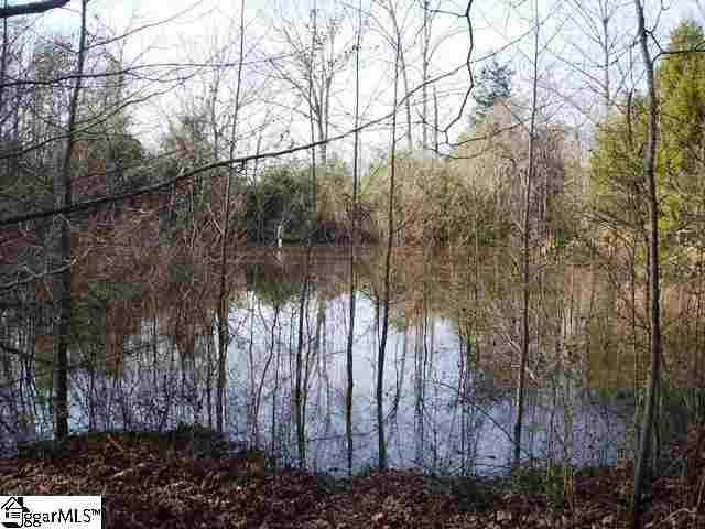 0 Terry Road Fountain Inn, SC 29644 - Photo 15 of 16
