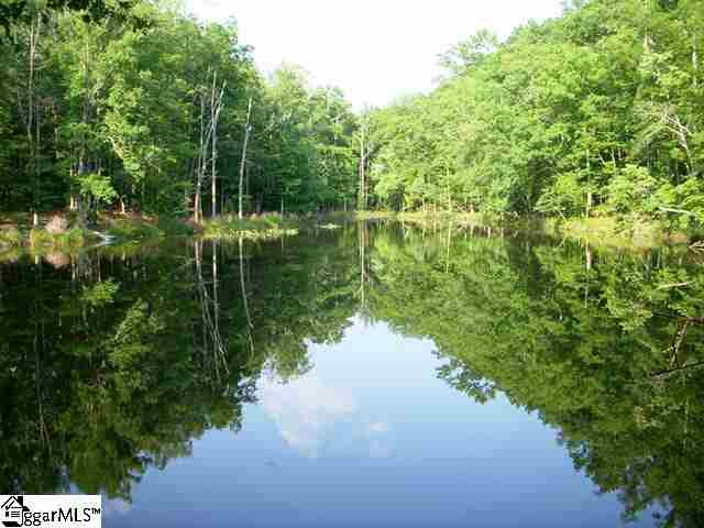 0 Terry Road Fountain Inn, SC 29644 - Photo 3 of 16