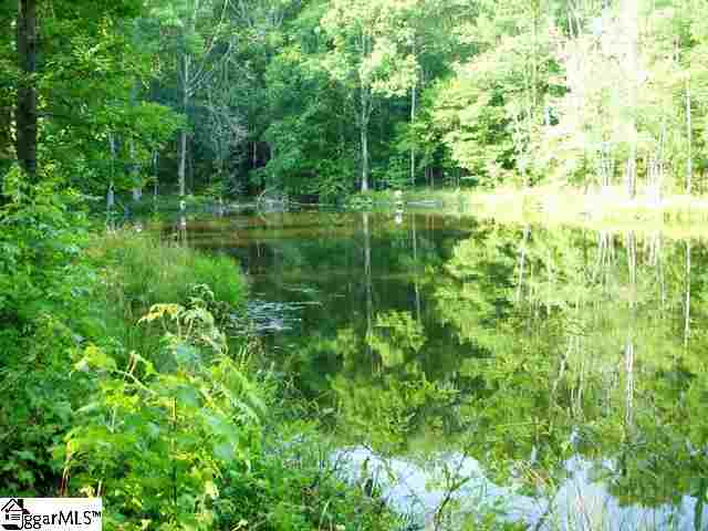 0 Terry Road Fountain Inn, SC 29644 - Photo 4 of 16