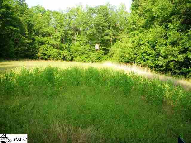 0 Terry Road Fountain Inn, SC 29644 - Photo 5 of 16