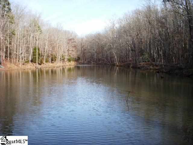 0 Terry Road Fountain Inn, SC 29644 - Photo 6 of 16