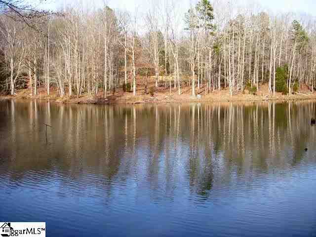 0 Terry Road Fountain Inn, SC 29644 - Photo 7 of 16