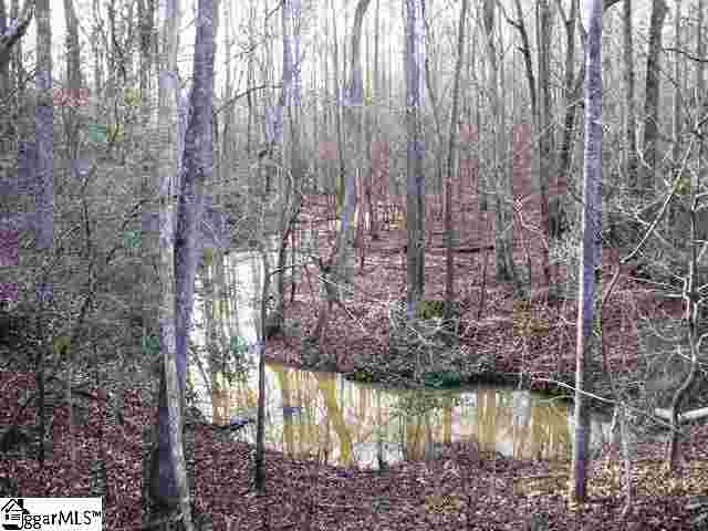 0 Terry Road Fountain Inn, SC 29644 - Photo 8 of 16