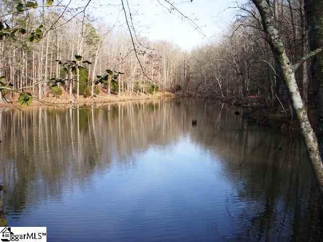 0 Terry Road Fountain Inn, SC 29644 - Photo 9 of 16