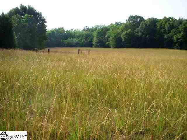 0 Terry Road Fountain Inn, SC 29644 - Photo 10 of 16