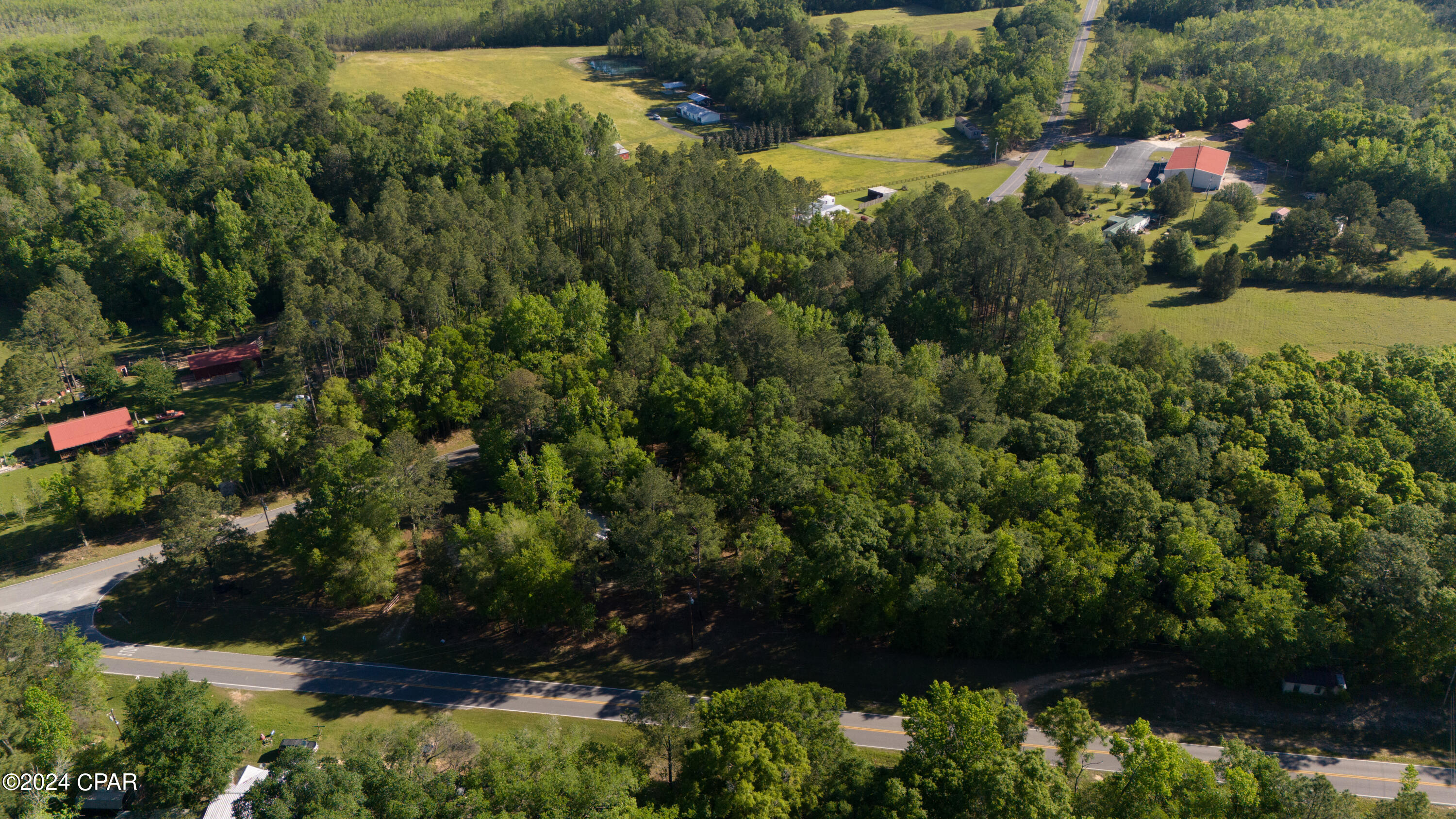 4850 Wilderness Road Caryville, FL 32427 - Photo 6 of 10 Gallery Image 6