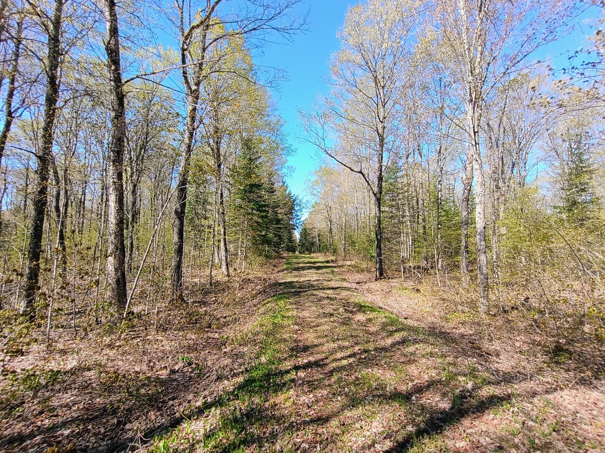 40-ac On Nig Rein Road, Unit 40 AC Glidden, WI 54527 - Photo 11 of 26 Gallery Image 11