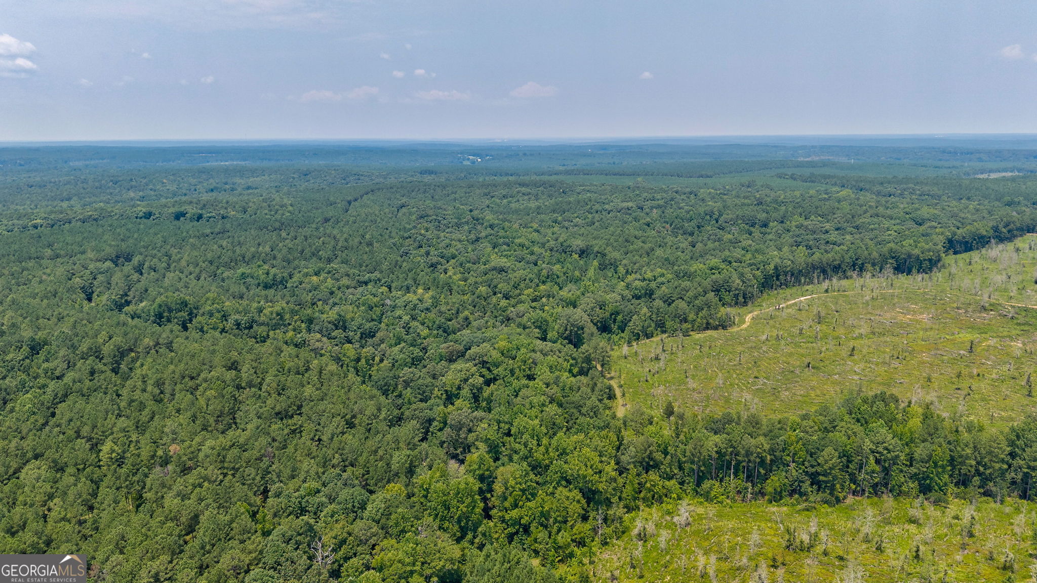 0 Jabez Poyner Road Carlton, GA 30627 - Photo 17 of 25 Gallery Image 17