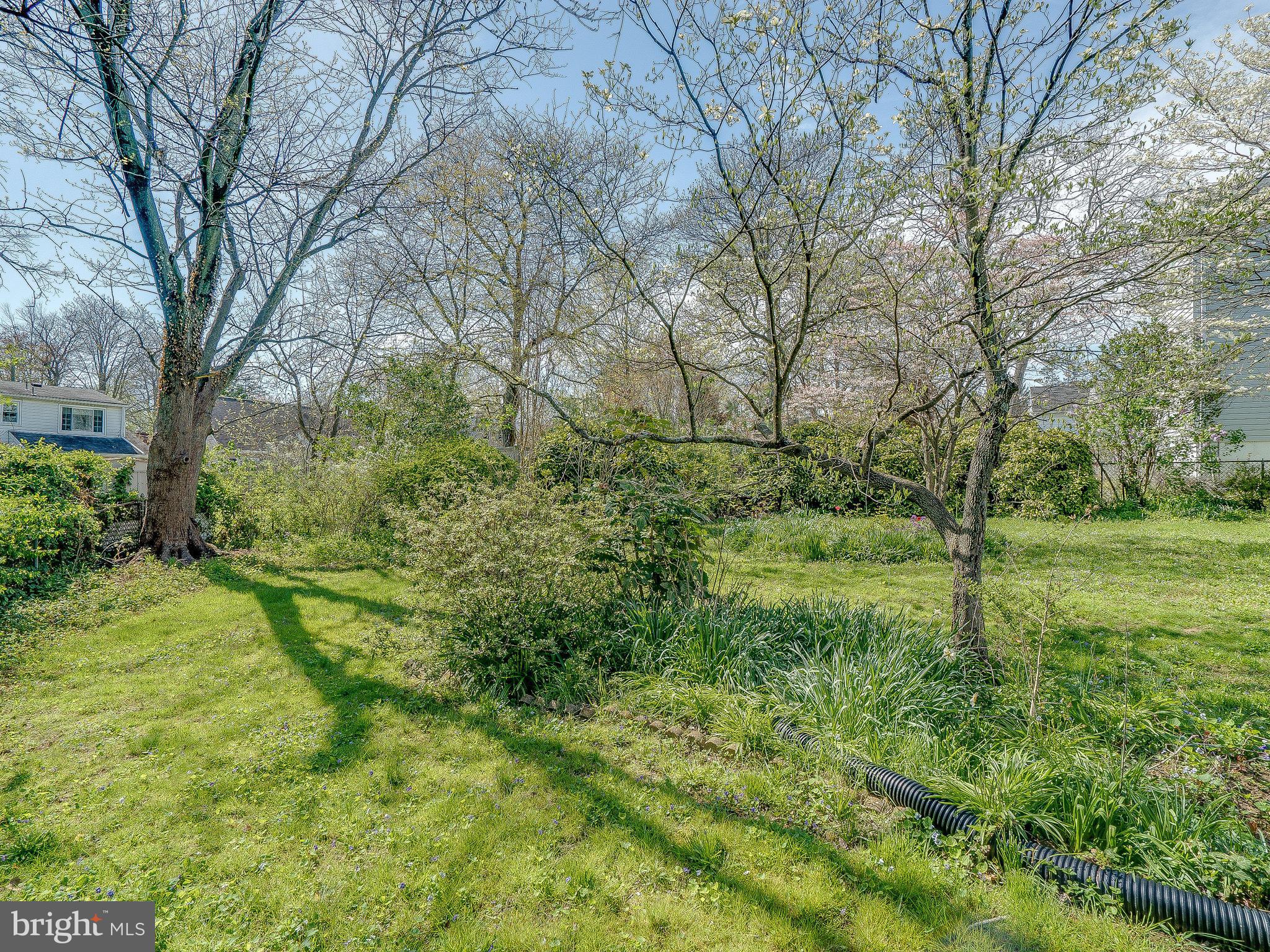 9504 Seminole Street Silver Spring, MD 20901 - Photo 24 of 25 a yard with large trees