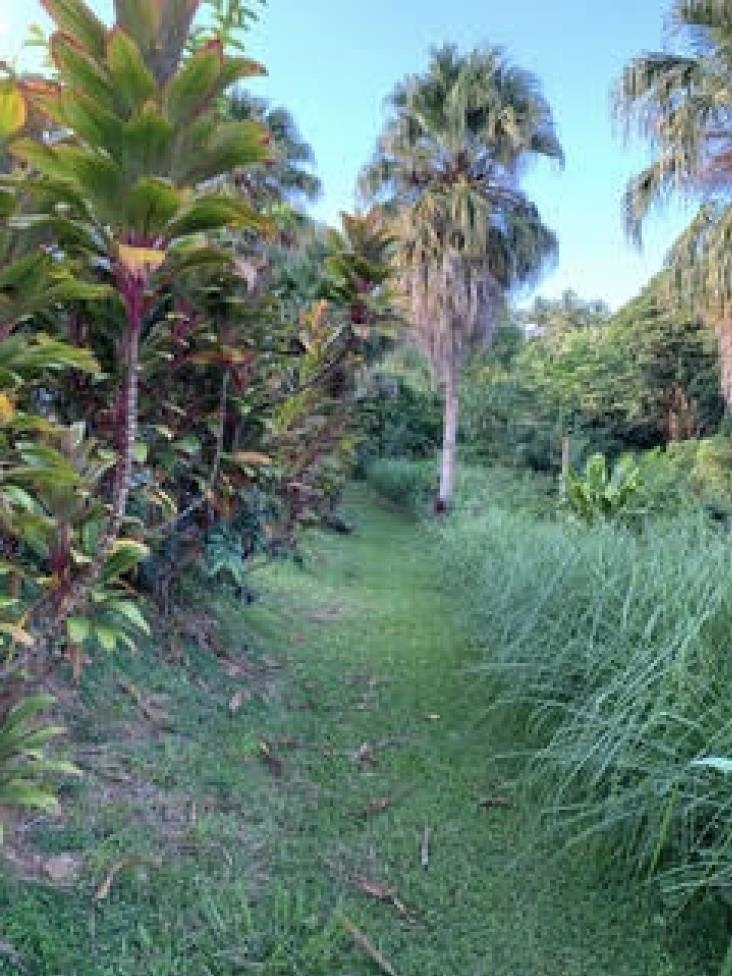 555 North Holokai Road Haiku, HI 96708 - Photo 46 of 50 The ~600' nature trail offers shaded spots as reflection areas