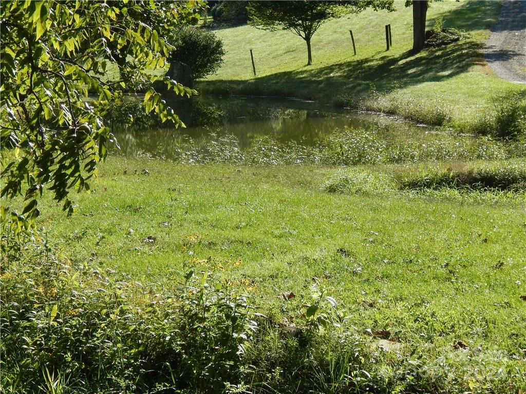 0 Gentry Farm Rd Spring Creek Hot Springs, NC 28743 - Photo 11 of 26 a view of a yard