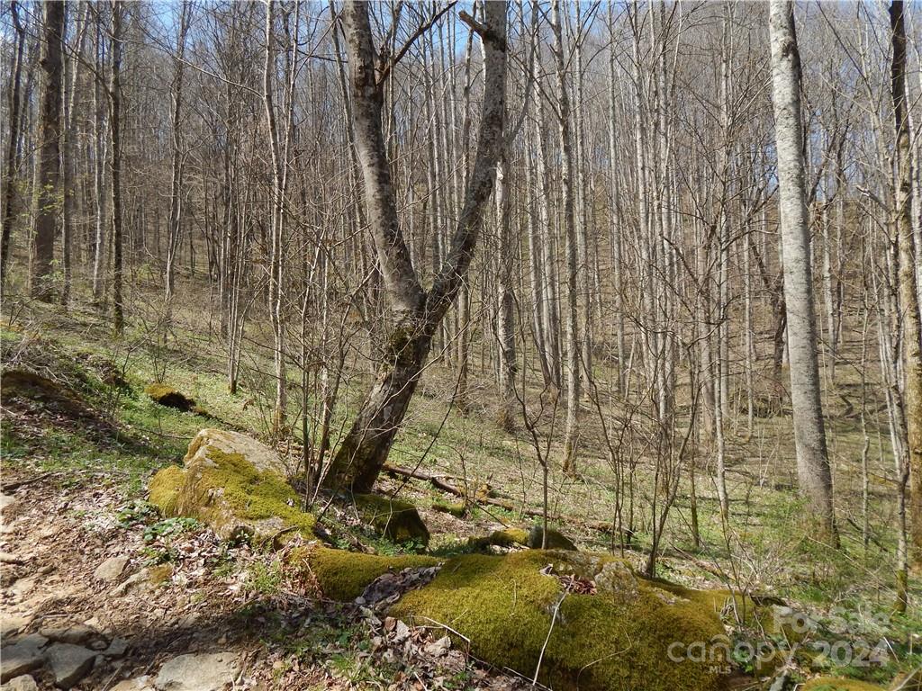 0 Gentry Farm Rd Spring Creek Hot Springs, NC 28743 - Photo 16 of 26 a view of bath tub